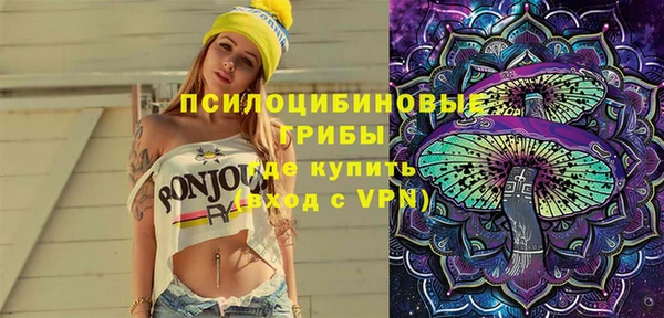 PSILOCYBIN Аркадак