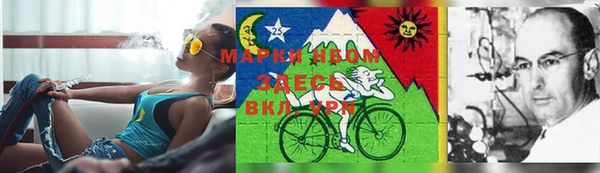 PSILOCYBIN Аркадак