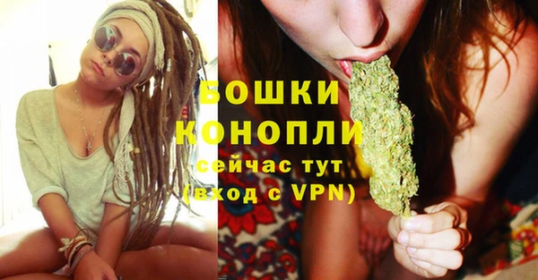 PSILOCYBIN Аркадак