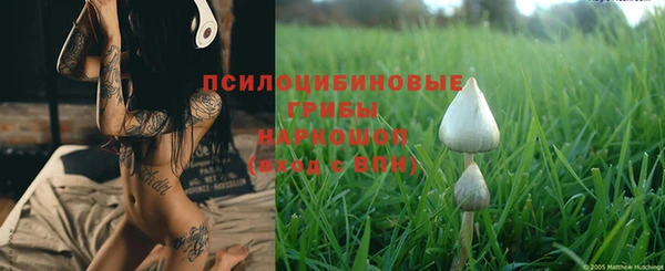 PSILOCYBIN Аркадак