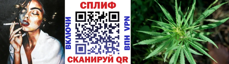 продажа наркотиков  Усть-Джегута  МАРИХУАНА ГИДРОПОН 